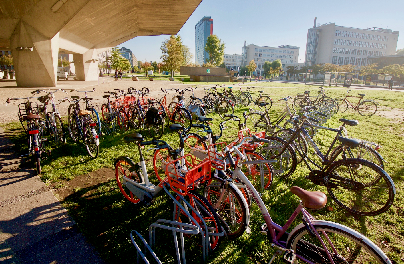 De dockless deelfietsen: een studie naar de impact